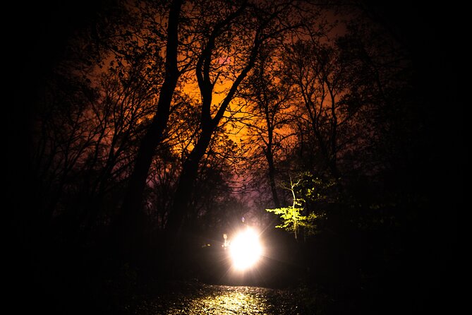 Night Tour in Hoia Baciu Forest - Meeting your guide in Cluj-Napoca