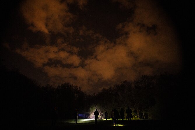 Night Tour in Hoia Baciu Forest - The walk through Hoia Baciu Forest