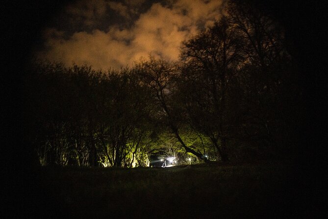 Night Tour in Hoia Baciu Forest - Stories, folklore, and sensible explanations