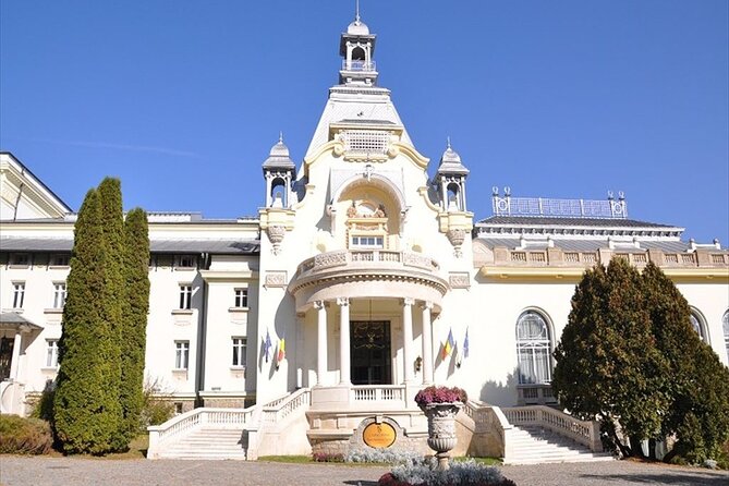 One Day Private Tour to Peles and Dracula Castles & Brasov City - What the private guide service is really like