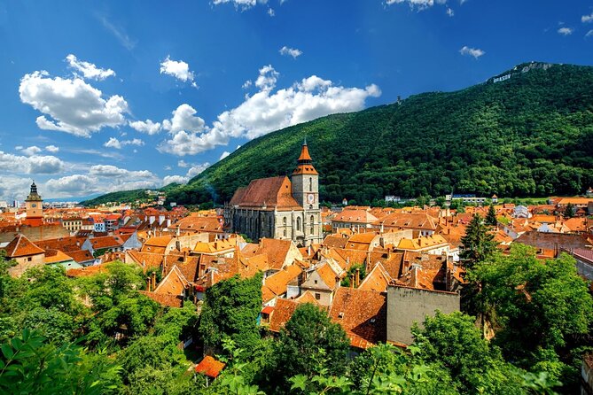 One Day Private Tour to Peles and Dracula Castles & Brasov City - Who should book this private castle tour