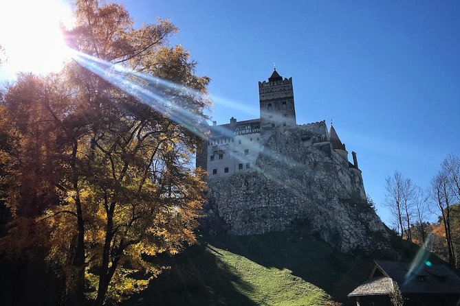 One day trip Bear Sanctuary, Dracula Castle, Rasnov Fortress from Brasov - Walking, weather, and family considerations