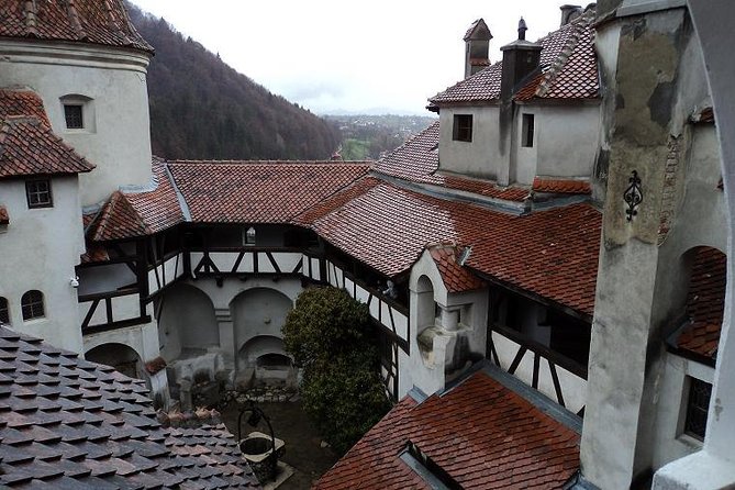 One day trip Bear Sanctuary, Dracula Castle, Rasnov Fortress from Brasov - What the price includes, and what it does not