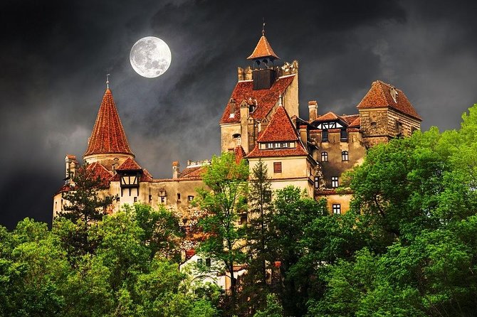 One day trip Bear Sanctuary, Dracula Castle, Rasnov Fortress from Brasov - Libearty Bear Sanctuary: the day’s strongest stop
