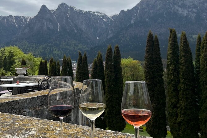 Peles & Cantacuzino Castles: Gourmet Wine & Cultural Day trip - Who should book this experience?