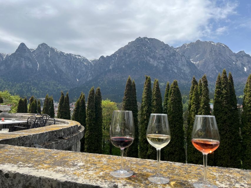 Peles & Cantacuzino Castles: Gourmet Wine & Cultural trip - Three wines, Romanian cheeses, and local flavors