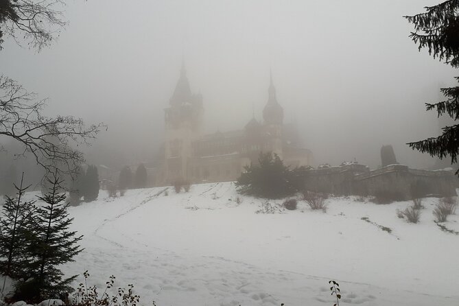 Peles Castle and optional Cantacuzino Castle from Brasov - Peles Castle: the main reason to book
