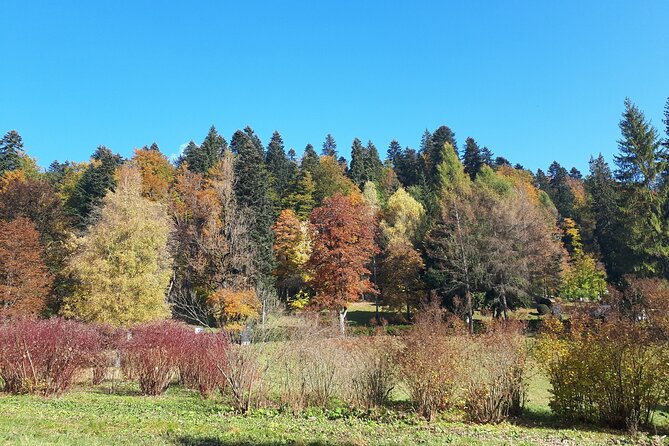 Peles Castle and optional Cantacuzino Castle from Brasov - Cota 1400 and the mountain views