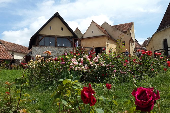 Peles Castle, Bran Castle, Rasnov Fortress and Sinaia Monastery Tour from Brasov - Peles Castle: the royal centerpiece