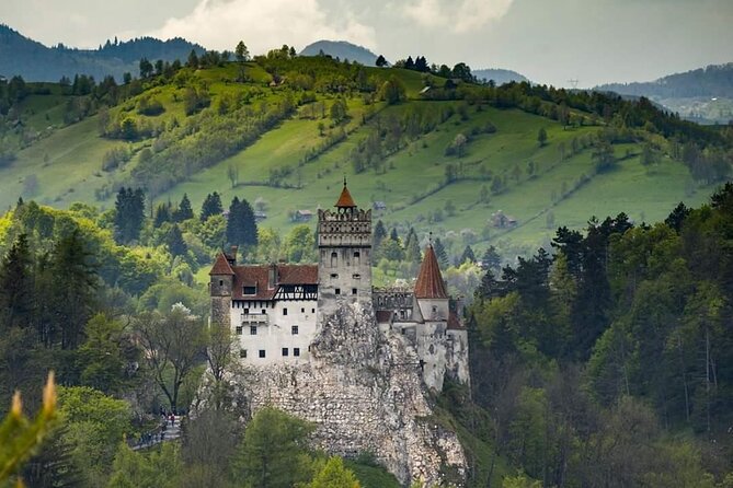 Peles Castle, Bran Castle, Rasnov Fortress and Sinaia Monastery Tour from Brasov - Guides, vehicles, and the small-group feel