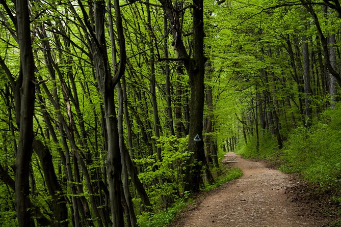 Perfect bike tour around Brasov - Key points about the Brasov cycling tour