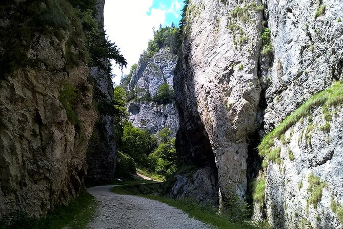 Perfect bike tour around Brasov - What the guides add to the ride