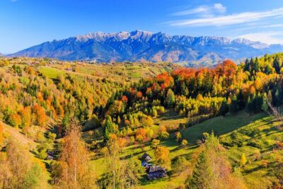 Pestera and Magura Full-Day Private Walking Tour from Brasov