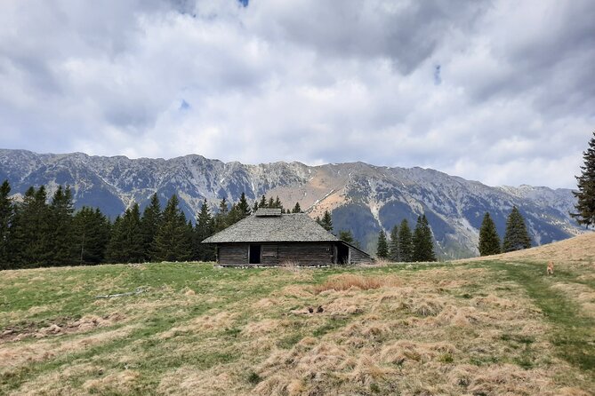 Pestera and Magura Full-Day Private Walking Tour from Brasov - How difficult is the 8 to 12 km walk?