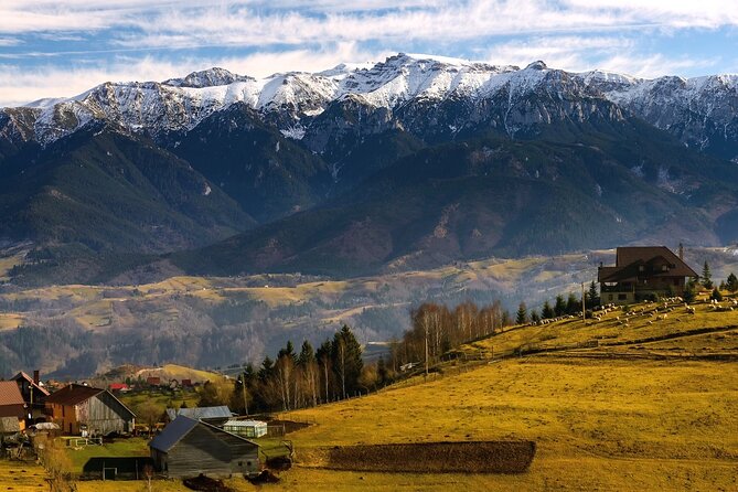 Pestera and Magura Full-Day Private Walking Tour from Brasov - What the private format is worth