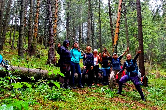 Pestera and Magura Full-Day Private Walking Tour from Brasov - The kind of day this creates