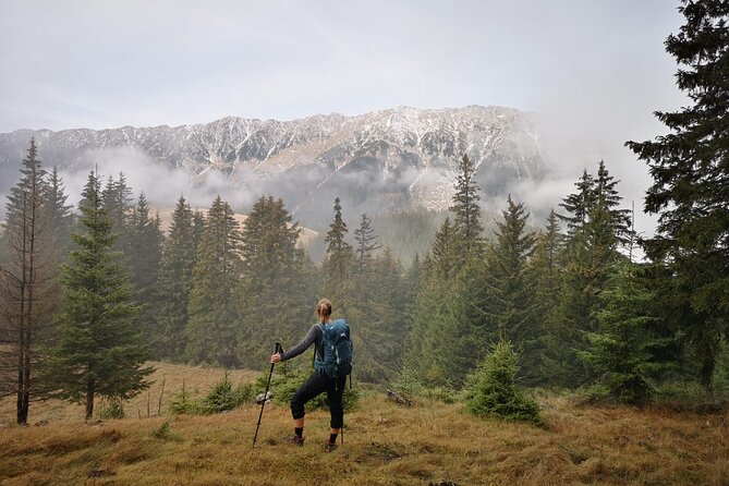 Pestera and Magura Full-Day Private Walking Tour from Brasov - Who should book Pestera and Magura?