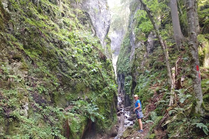 Piatra Craiului National Park Private Hiking Tour from Brasov - Views, villages, and a living mountain culture