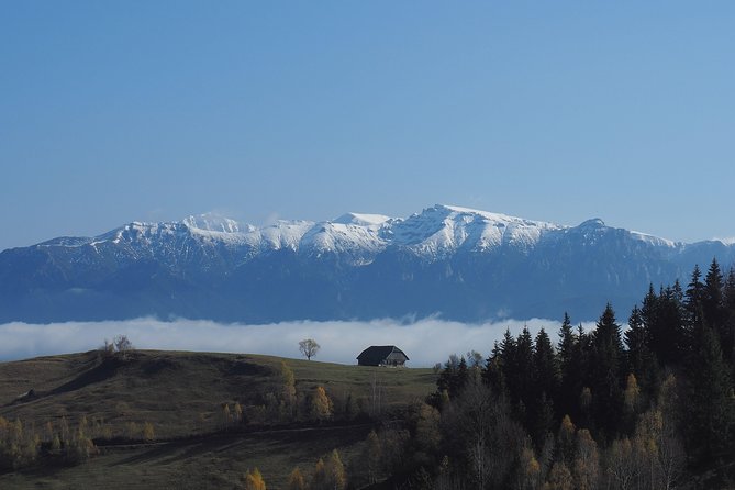 Piatra Craiului National Park Private Hiking Tour from Brasov - Lunch, timing, and the return to Brasov