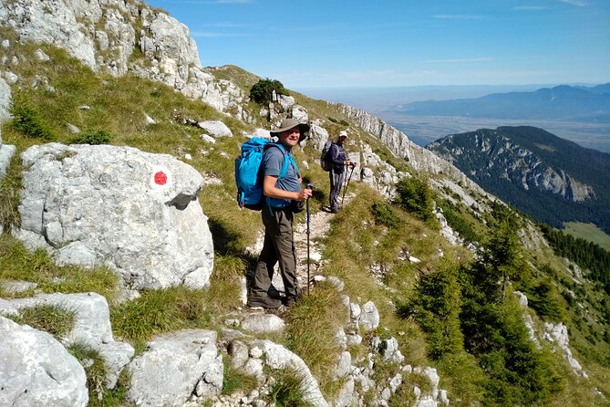 Piatra Craiului National Park Private Hiking Tour from Brasov - Guide quality and the value of a private day