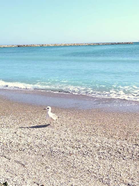 Private Bucharest Tour: Discover Constanța & Black Sea Coast - Who will enjoy this Constanța day trip?