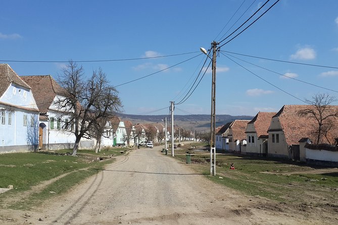 Private Day Tour Sighisoara and Viscri from Brasov with Hotel Pick Up/ Drop Off - What the guide adds