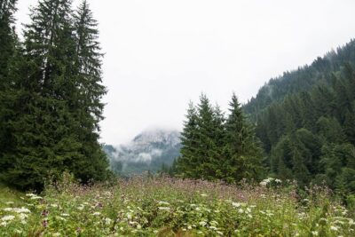 Private Daytrip Hike to Bucegi Mountains