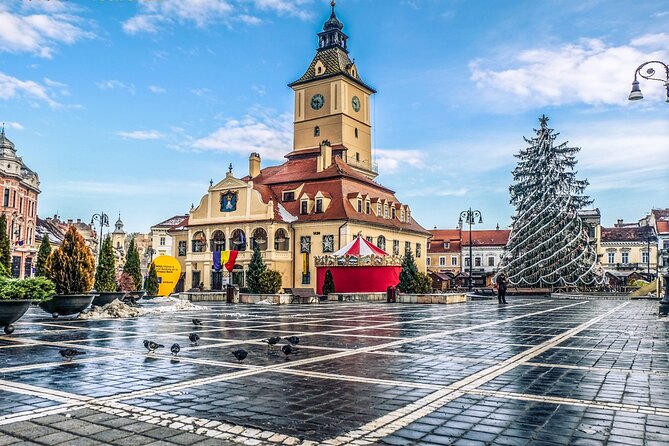 Private Guided Tour of Peles Castle and Bran Castle from Bucharest - Who will enjoy this day most