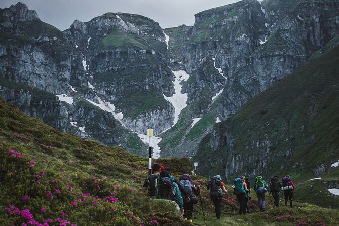 Private Hiking to Bucegi Natural Park from Brasov - Key points to know before booking