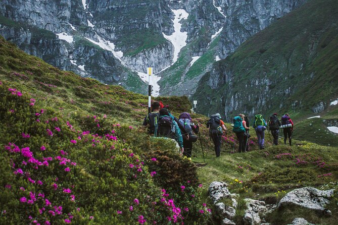 Private Hiking to Bucegi Natural Park from Brasov - What the $110.78 price really covers