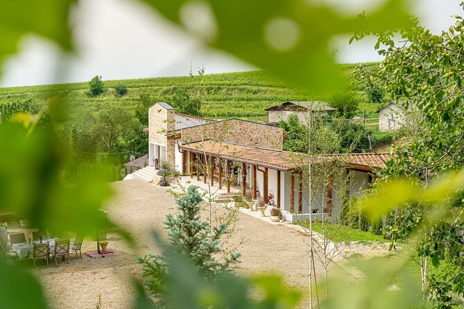 Private Tasting Expedition Along Romania’s Most Famous Wine Route - What the guide adds between the tastings