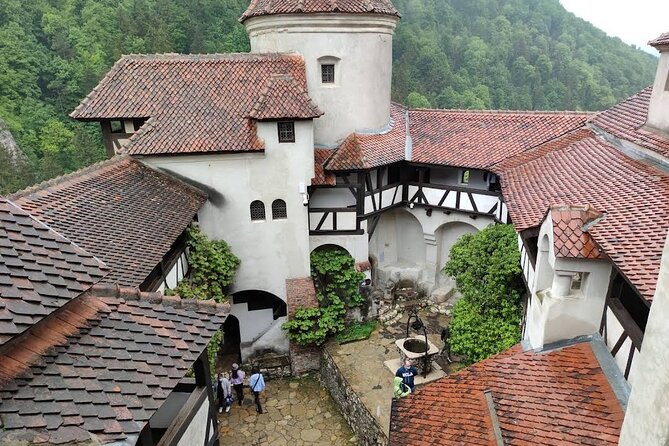 Private Tour to Dracula's Castle, Brașov City & Peleș Castle - What the $166.83 price really covers
