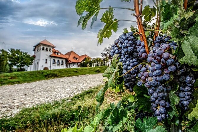 Private Tour to Salt Mine, Lunch at Winery and Dracula Grave - Private guiding is the real value