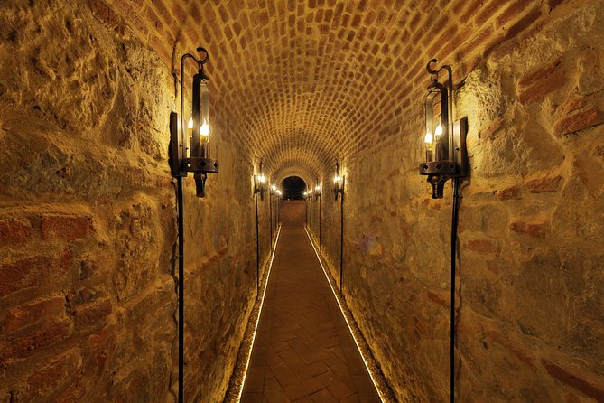 Private Walking Tour of Alba Iulia Citadel with Wine Tasting - Entering Vinoteca HUGO’s old cellar