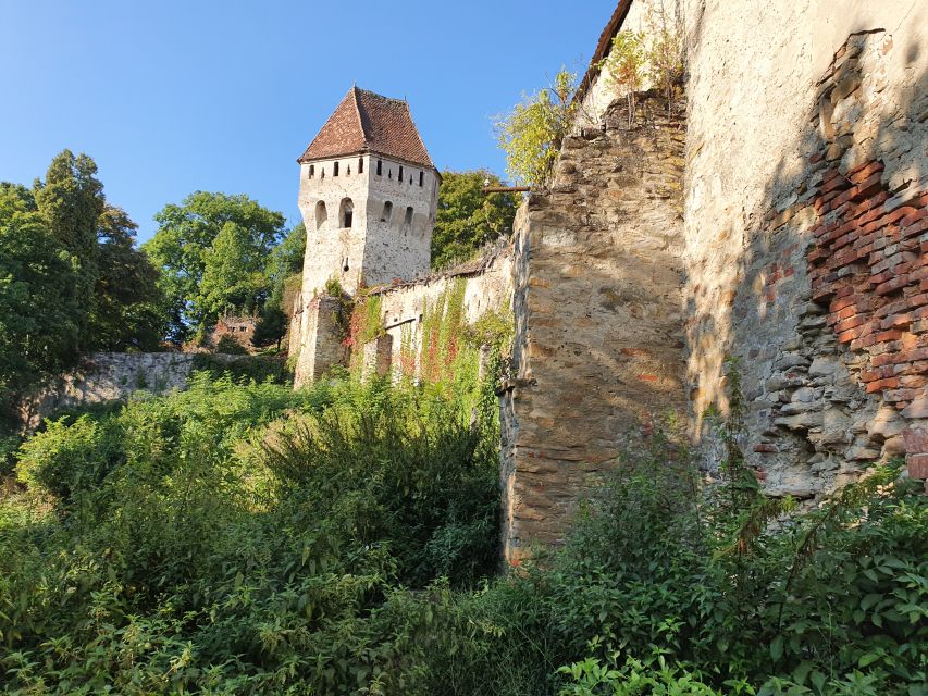Real Dracula Princely Court and Real Dracula's Fortress - Poienari Castle and the 1,480-step test
