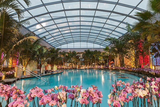Relax and Fun at Thermal Spa Bucharest (Admission Ticket) - Key points to know before you go