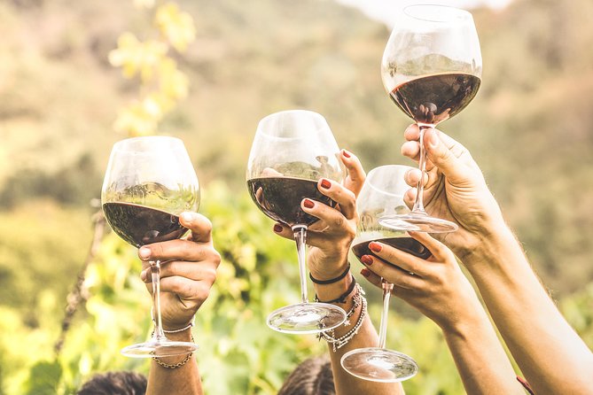 Romanian Wine Tasting - Key points to know before booking
