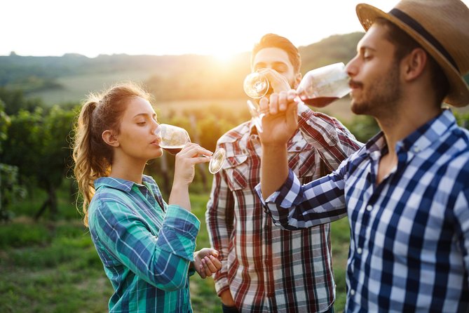 Romanian Wine Tasting - Why Romanian wine makes this day worth your time
