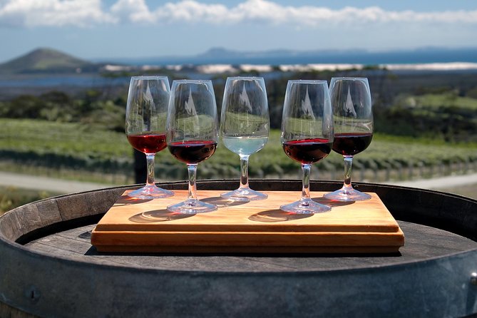 Romanian Wine Tasting - Budureasca Winery: learn the manners of tasting