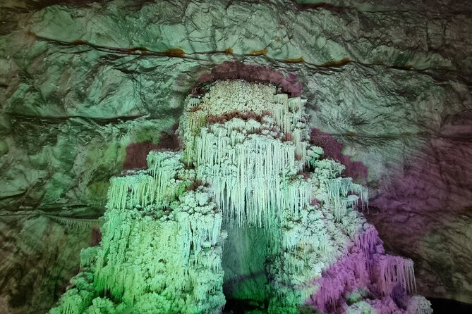 Salt Mine , Lunch at Winery & Dracula Grave - Private Tour - What the private vehicle adds