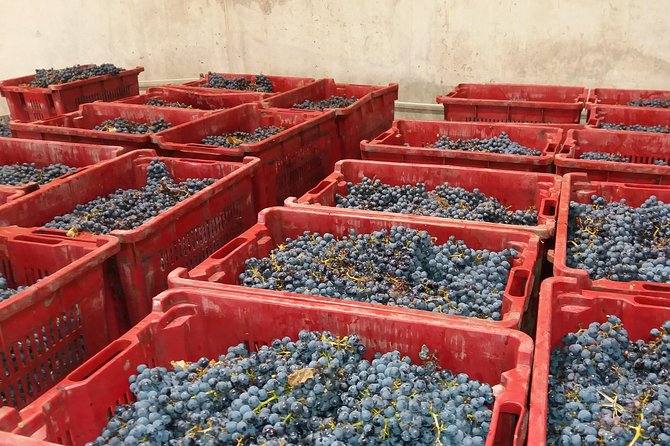 Salt Mine, the Muddy Volcanoes and Wine Tasting Private Day Tour from Bucharest! - Lacerta Winery and the Dealu Mare wine country