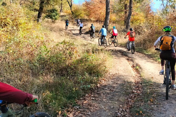 Sambata de Sus: E-Bike Guided Tours - Key points to know before booking