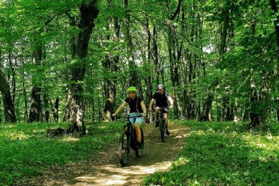 Sambata de Sus: E-Bike Guided Tours