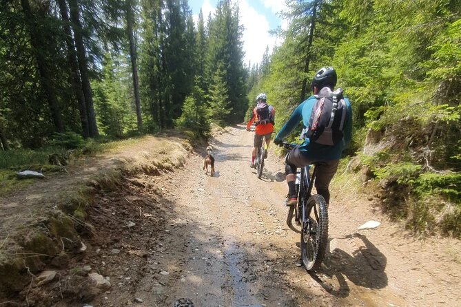 Sambata de Sus: E-Bike Guided Tours - Why Iulian’s guiding style matters