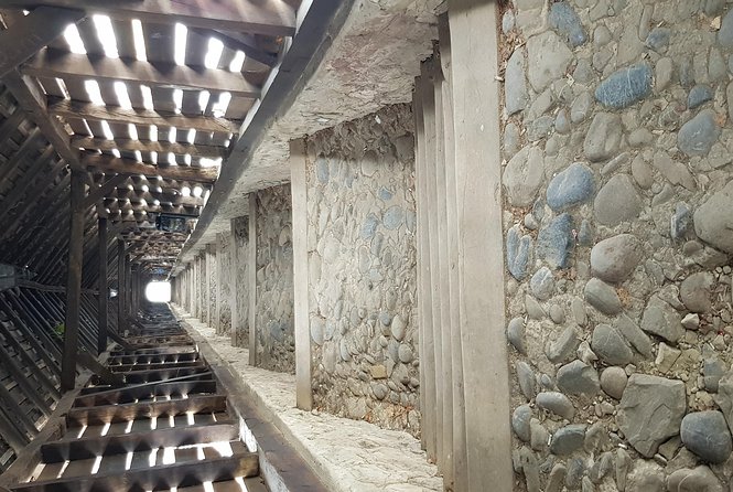 Secrets of the Citadels: Brașov, Viscri, Sighișoara and Sibiu - Sibiu, polished, grand, and possibly one stop too many