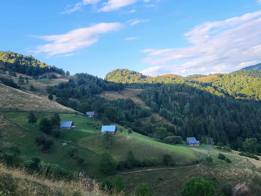 Sibiu: Cindrel Mountains Hike with Traditional Brunch - What the Trail Is Really Like
