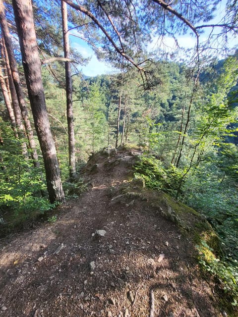 Sibiu: Cindrel Mountains Hike with Traditional Brunch - Alex as Your Local Guide