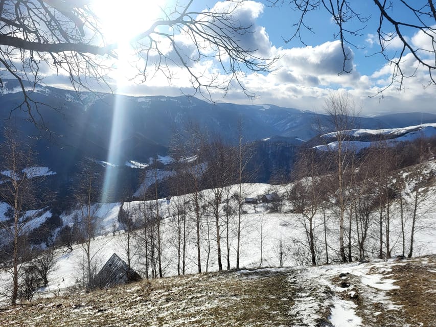Sibiu: Cindrel Mountains Hike with Traditional Brunch - Reaching MGS Cabin for Brunch