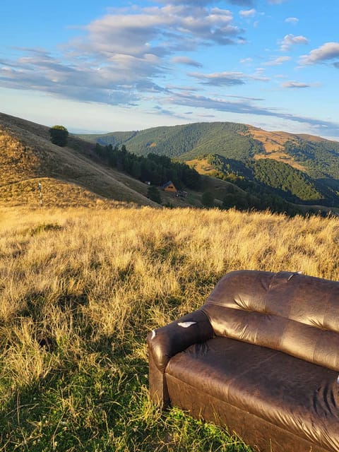 Sibiu: Cindrel Mountains Hike with Traditional Brunch - Who Will Enjoy This Hike Most