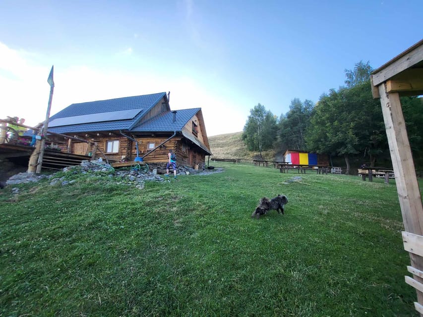 Sibiu: Cindrel Mountains Hike with Traditional Brunch - Practical Tips for a Better Day